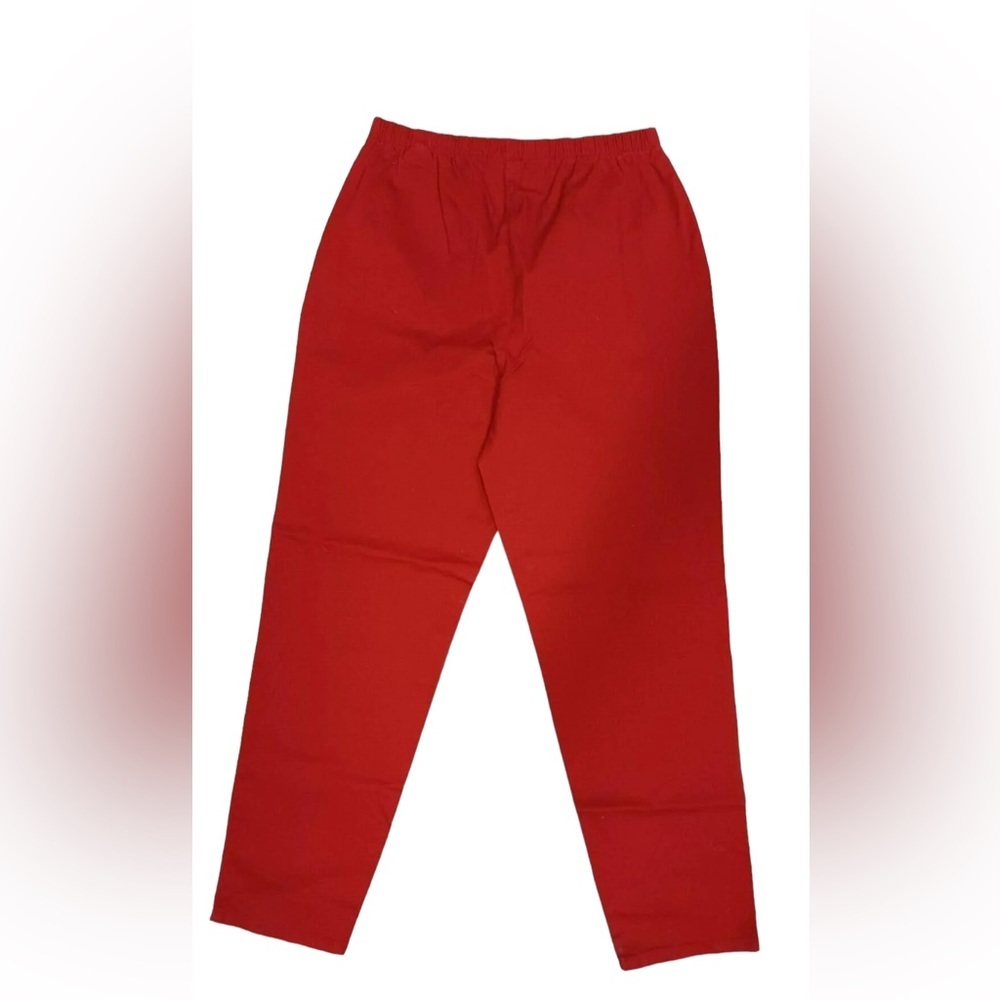 NWT D& Co. Rust 2 pocket pants with Elastic Waist